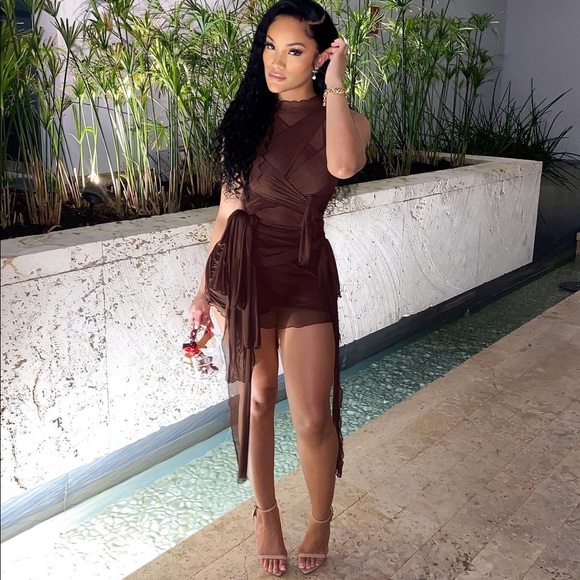 Brown Mesh Tie up Dress - Picture 1 of 2